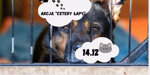 \u201eCZTERY \u0141apy\u201d\ud83d\udc3e - wyj\u015bcie do schroniska