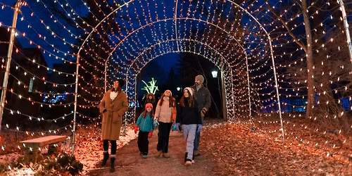 Winter Wonder Lights - Family Night