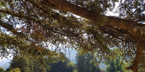 Les chemins de l'eau