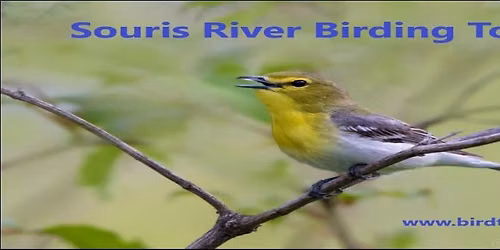 Souris River Birding Tour