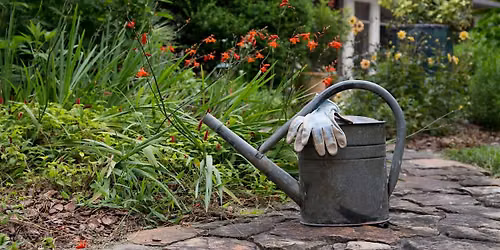 09-24-2026 Get Ready for Fall: Timely Tasks and Tips for Your Landscape