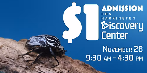 Discover for a Dollar