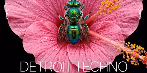 Amber's Presents Pioneers: Detroit Techno