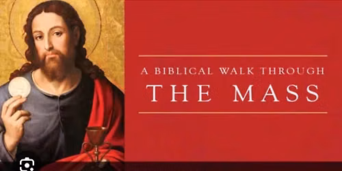Summer Bible Study: A Biblical Walk Through the Mass