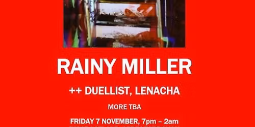 SAVING DISGRACELAND !