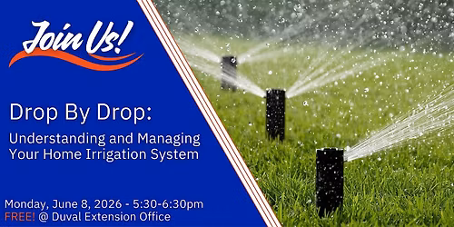 Drop By Drop: Understanding and Managing Your Home Irrigation System