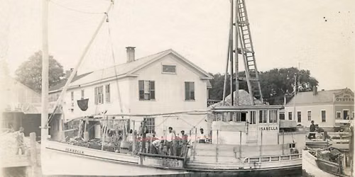 Aw, Shucks! The Extraordinary History & Outlook for CT Oysters