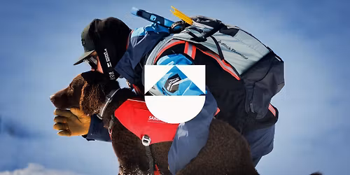 Meet SARDA: The Dogs Behind Avalanche Rescue