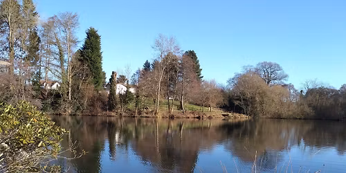 Wednesday Christmas Ramble & Lunch (BOOKING ESSENTIAL)