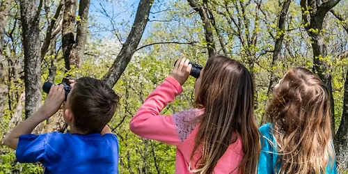 Family Birdwatching in the Gardens