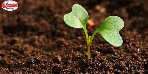 Soil Building Seminar