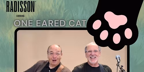 One Eared Cat At Radisson Corning