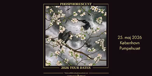 Phosphorescent \/\/ Pumpehuset