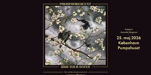 Phosphorescent [support: Amanda Bergman] \/\/ Pumpehuset 
