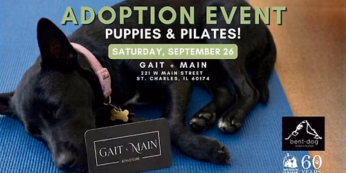 Puppies & Pilates