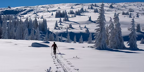 \u041f\u044a\u0440\u0432\u0438 \u0441\u0442\u044a\u043f\u043a\u0438 \u0432 \u0441\u043a\u0438 \u0442\u0443\u0440\u0438\u043d\u0433\u0430 2026 - 1 \u0434\u0435\u043d