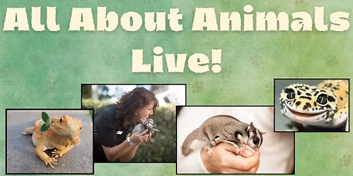 All About Animals Live!
