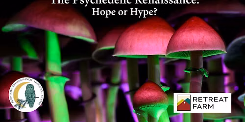 The Psychedelic Renaissance\u2014Hope or Hype?