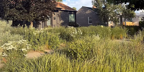 Plant Your Future | A Guide to Native Plants - Plant + Take Home Your Own Native Mini Meadow