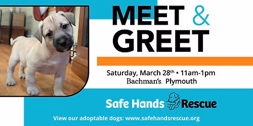 Safe Hands Rescue Meet & Greet at Bachman's-Plymouth