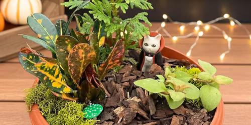 Miniature Creature Garden Workshop - Johnson's East