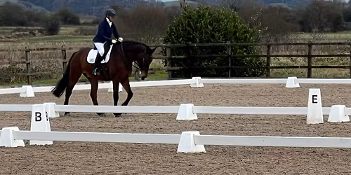 Area 12 Intermediate Dressage Qualifiers