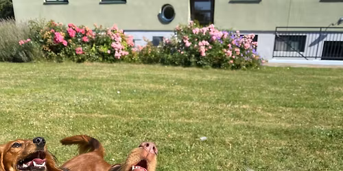 \ud83c\udf2d\ud83c\udf2dTaxparad\ud83c\udf2d\ud83c\udf2d