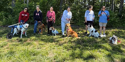 Group Walk #4