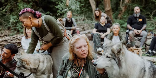 Wolf Pack Solstice