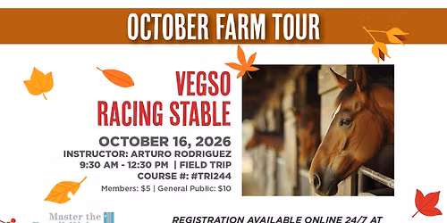 Touring the Vegso Racing Stables