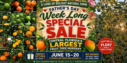 Father\u2019s Day Summer Fruit Tree SALE \u2014 1,000+ FRUIT TREES in Central Florida