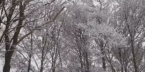 Yoga & Sound Healing for the Homeless