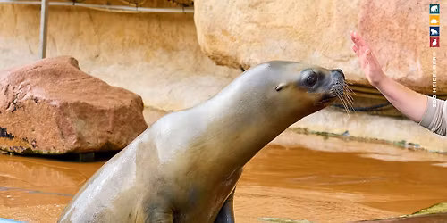 Workshop - Berufe im Zoo (Jugendliche)