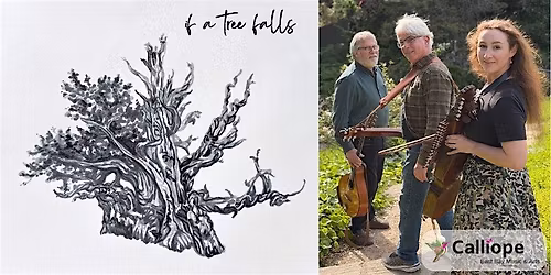 If A Tree Falls