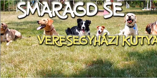 \u00c1llati Nagy AGILITY Verseny 2026.