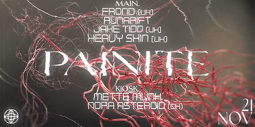 PAINITE x MODULE