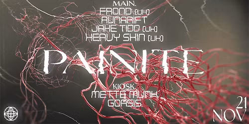 PAINITE x MODULE