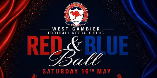 Red & Blue Ball | Auction Night