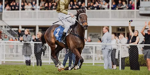 Great New Zealand Jumps Carnival | Day Two