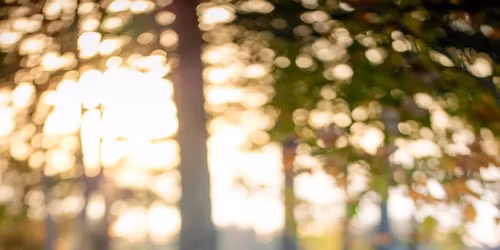 Jack & Jill for Kyle & Michelle