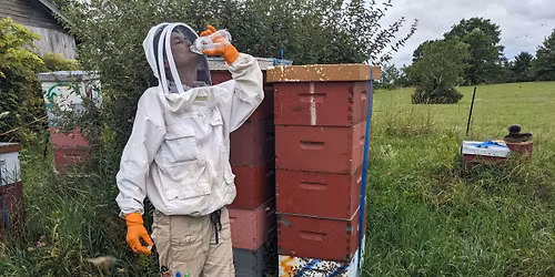 Summer Hive Care & Heat Mgt \/ Pest Monitoring
