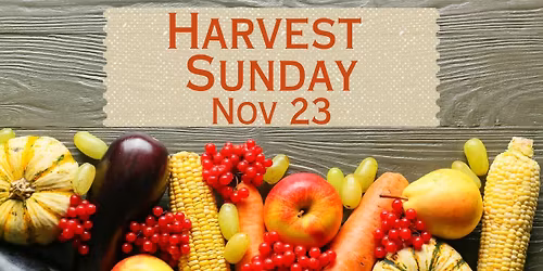 Harvest Sunday