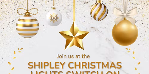 Christmas Lights Switch On