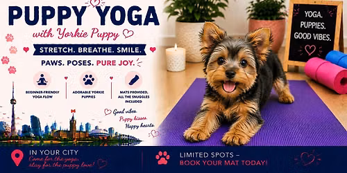 Yorkie Puppy Yoga in Toronto
