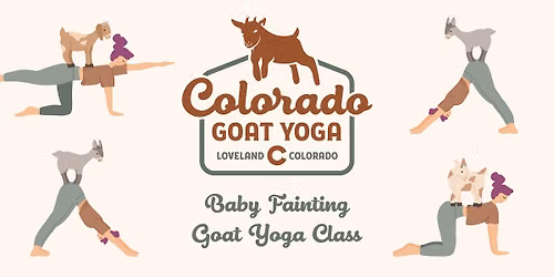 Baby Goat Yoga