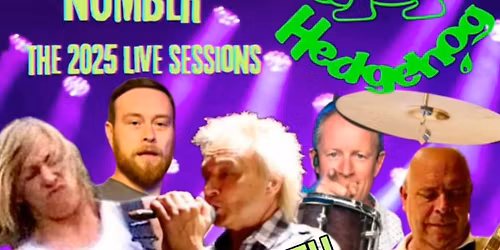 HEDGEHOG at The Crown on Saturday 13th 