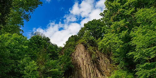 XII Regionalny Zlot Zielarski - Park Krajobrazowy Che\u0142my