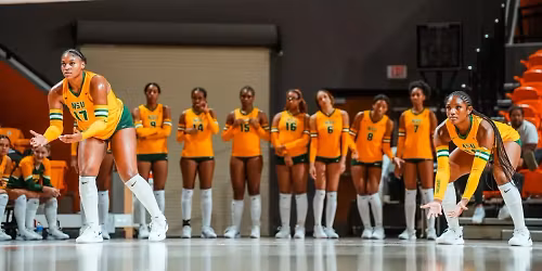 Parking William & Mary Tribe at Hampton Pirates Womens Basketball