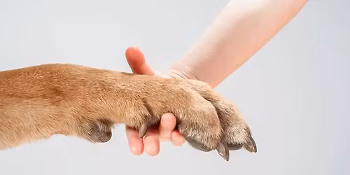 Cooperative Care Program