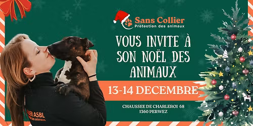 LE NOËL DES ANIMAUX 🎄